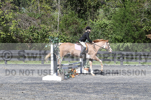 Sophia Zwaldo on Carmel Colored Lady, Advanced Green Horse Trials Junior