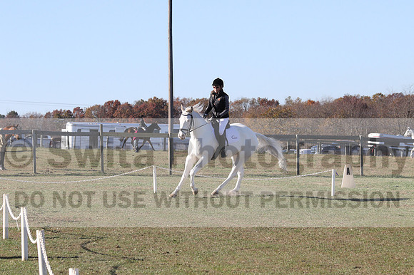 Kay Brady on Destiny's Mystique, Beginner Novice Horse Trials Senior B