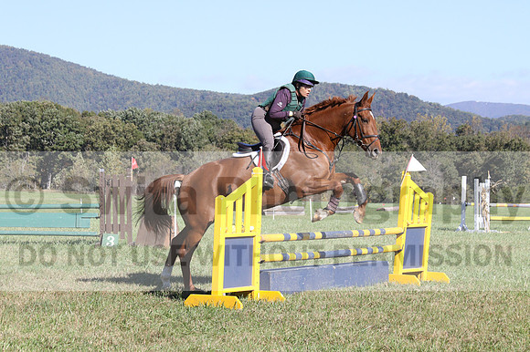 Terry Adcock on Irish Belle, Novice Horse Trials Senior B, Dressage Only: First Level, Test 2