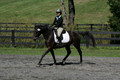 Jenny Rosner on Evita K, Advanced Green HT Senior