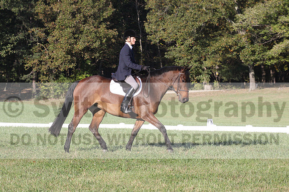 Kip Holloway on Dora Cymbeline, Novice Horse Trials Senior A