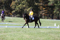 Emily Digney on American Airman, Beginner Novice Horse Trials Senior B