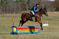 Francesca Toms on Top Secret, Novice Horse Trials Junior
