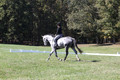 Michele Gnozzio on Dazzling, Beginner Novice Horse Trials Senior C