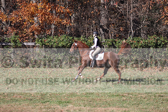 Julia Rhinehart on On A Quest, Novice Horse Trials Senior