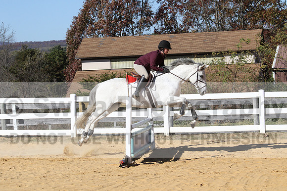 Shannon Bower on Bastille, Beginner Novice Combined Test
