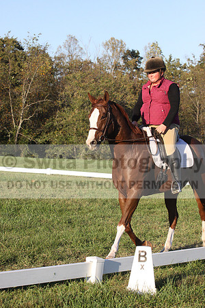Katherine Palmer on Rio Time Roamer, Dressage Only: Intro A