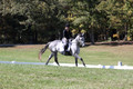 Michele Gnozzio on Dazzling, Beginner Novice Horse Trials Senior C
