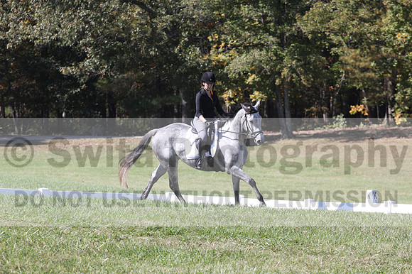 Michele Gnozzio on Dazzling, Beginner Novice Horse Trials Senior C