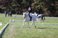 Kay Brady on Destiny's Mystique, Beginner Novice Horse Trials Senior C