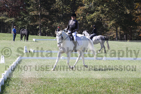 Kay Brady on Destiny's Mystique, Beginner Novice Horse Trials Senior C