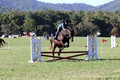 Carol Brickey on Throwing Stones, Advanced Green Horse Trials B