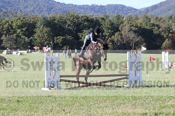 Carol Brickey on Throwing Stones, Advanced Green Horse Trials B
