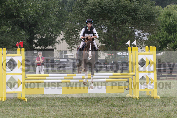 Samantha Eley on Swan's Buttercup