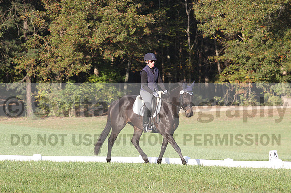 Liz Hall on Indelible, Training Horse Trials