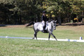Michele Gnozzio on Dazzling, Beginner Novice Horse Trials Senior C