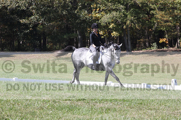 Michele Gnozzio on Dazzling, Beginner Novice Horse Trials Senior C