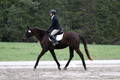 DR5K2184