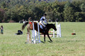 Elizabeth Davis on Freedom's Stormy Night, Beginner Novice Horse Trials Junior B