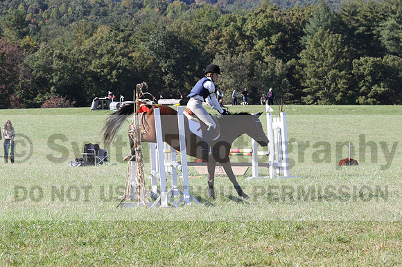 Elizabeth Davis on Freedom's Stormy Night, Beginner Novice Horse Trials Junior B