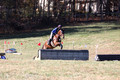 Francesca Toms on Top Secret, Novice Horse Trials Junior