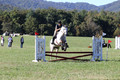 Carolyn Rutledge on Izzy, Advanced Green Horse Trials A