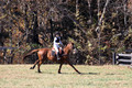 Ingrid Dunn on Ruby Redbird, Beginner Novice Horse Trials Senior C