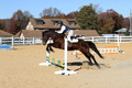 Erica Jones on Bingo, Advanced Green Horse Trials Senior A