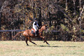 Ingrid Dunn on Ruby Redbird, Beginner Novice Horse Trials Senior C