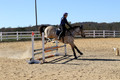 Brynn Katany on Cady O'Daly Artisan, Beginner Novice Horse Trials Junior A